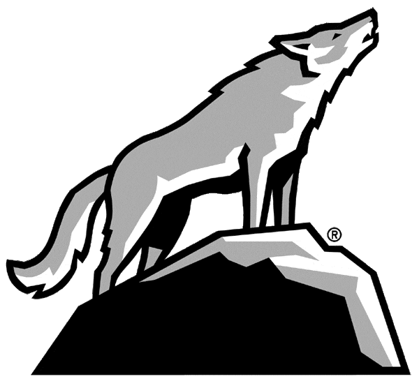 North Carolina State Wolfpack 2006-Pres Alternate Logo v10 diy iron on heat transfer